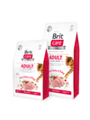 BRIT CARE Grain-Free ADULT ACTIVITY SUPPORT DRY CAT FOOD
