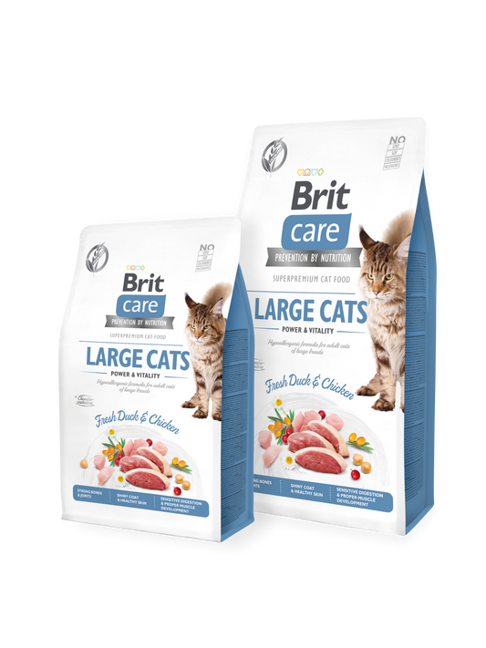 BRIT CARE CAT Grain-Free LARGE CATS POWER AND VITALITY