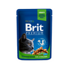 BRIT PREMIUM CAT POUCH WITH CHICKEN SLICES FOR STERILISED 100g
