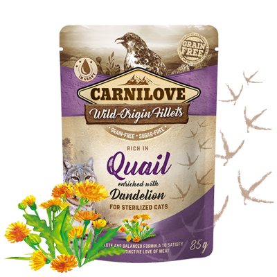 CARNILOVE CAT POUCH (MIXABLE 24 packets)
