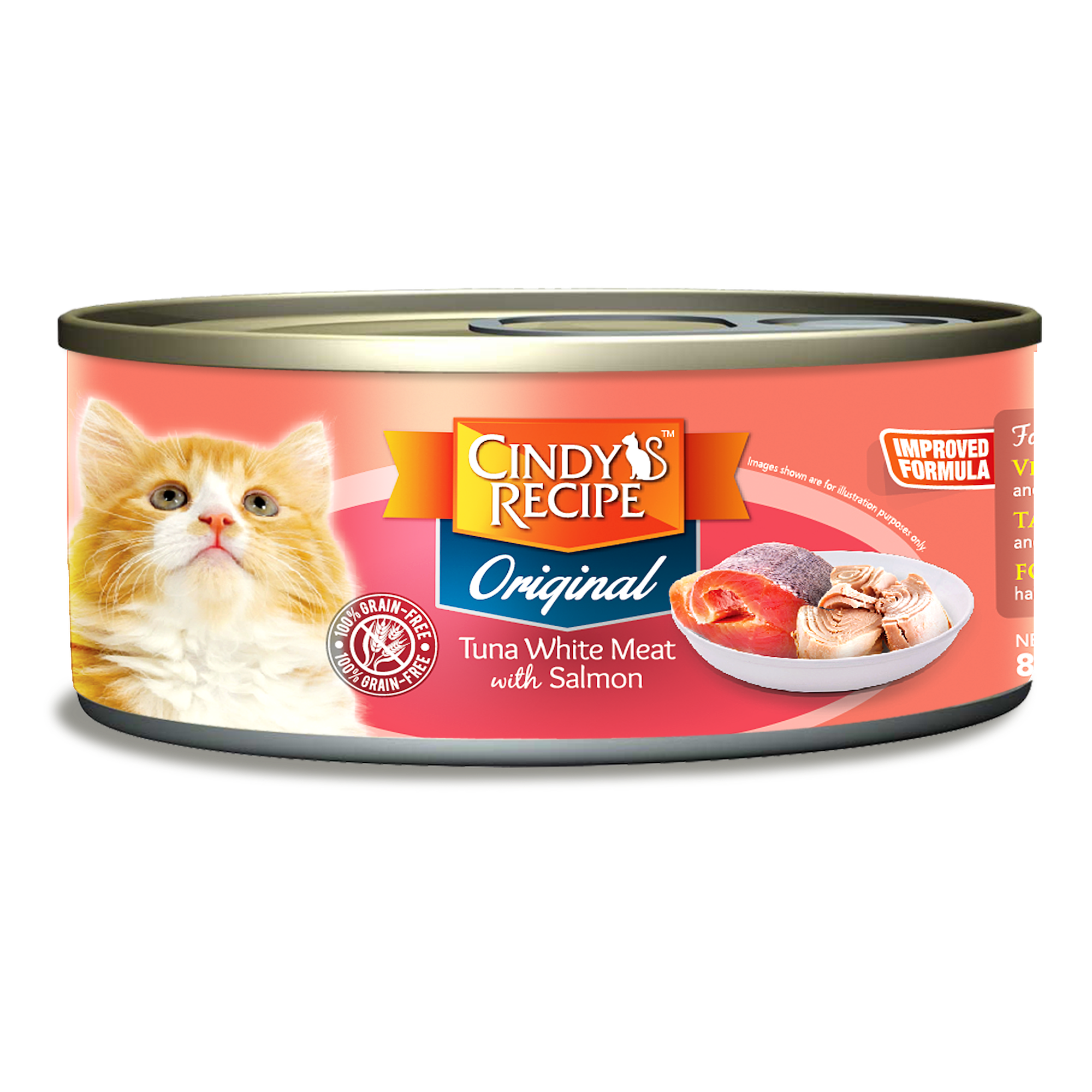 Tuna cat on sale food recipe