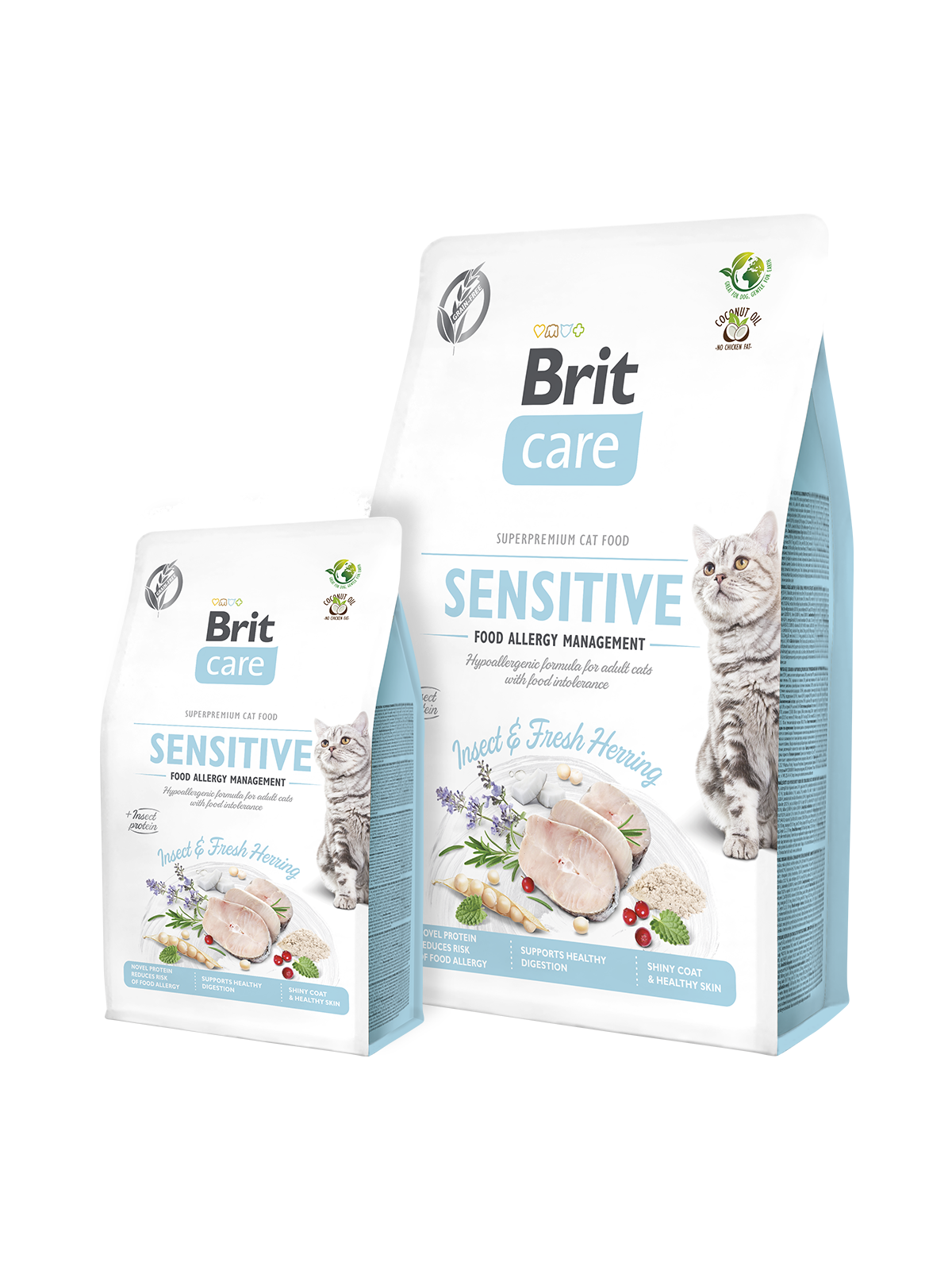 Cat Food Sensitivity | homehospice-jp.org
